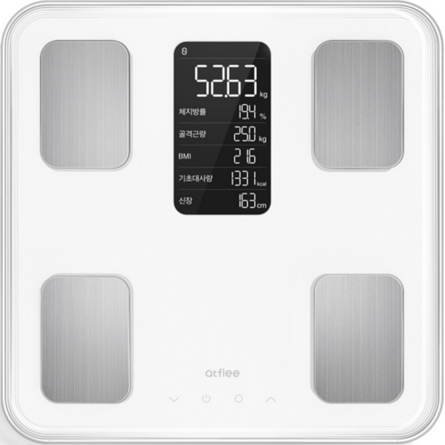 인바디체중계 추천 순위 앳플리 TX 스마트 더블스마트인 바디 체중계 성능 스펙 사용법