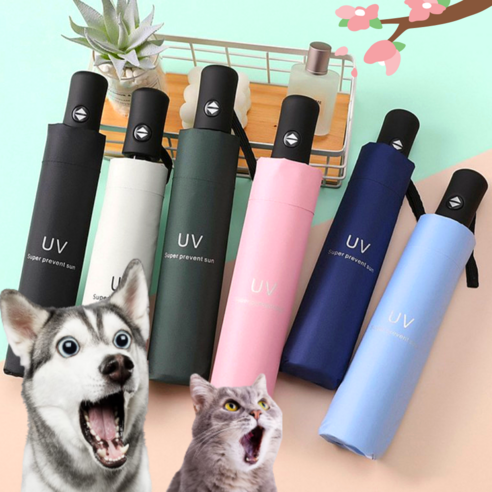 wpc양산 추천 순위 wpc양산 암막 UV 프리미엄 리베니 우양산 사용법 후기